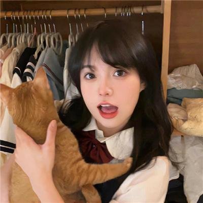完美家伙